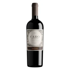 VINO CABO DE HORNOS CABERNET SUAVIGNON 750CC