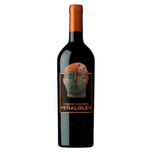 VINO PENALOLEN CABERNET SAUVIGNON 2020 750CC