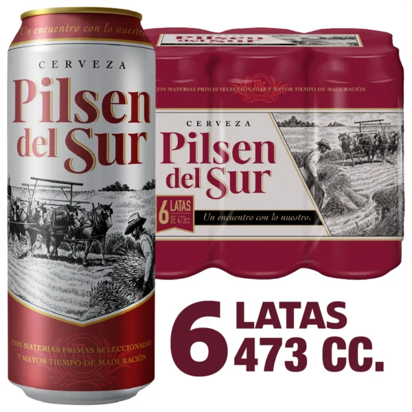CERVEZA PILSEN DEL SUR 473CC PACK*6