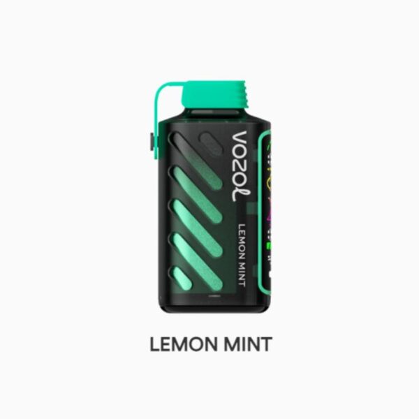 VOZOL GEAR POWER Disposble Pod FDA 650mAh 20ml Lemon Mint