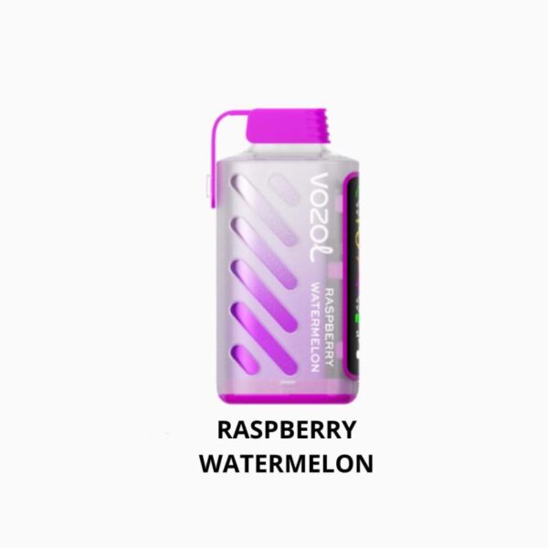 VOZOL GEAR POWER Disposble Pod FDA 650mAh 20ml Raspberry Watermelon