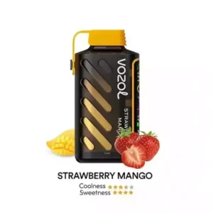 VOZOL GEAR POWER Disposble Pod FDA 650mAh 20ml Strawberry Mango